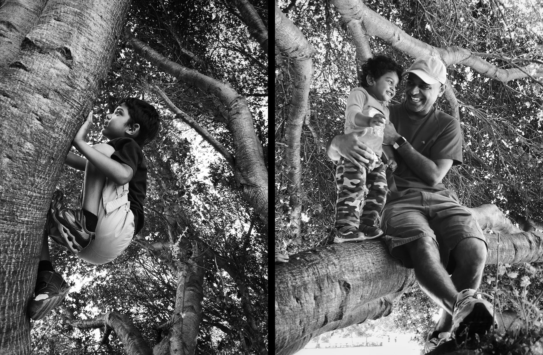 TreeClimbing_Nephews